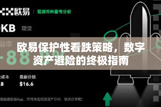 欧易保护性看跌策略,数字资产避险的终极指南 欧易保护性看跌策略,数字资产避险的终极指南