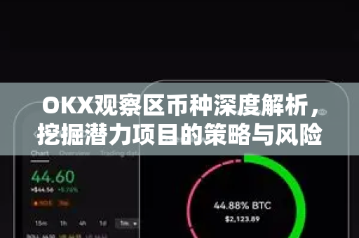 OKX观察区币种深度解析,挖掘潜力项目的策略与风险管控指南 OKX观察区币种深度解析,挖掘潜力项目的策略与风险管控指南