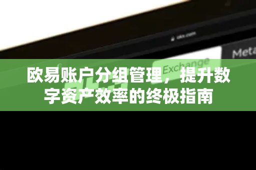 欧易账户分组管理，提升数字资产效率的终极指南