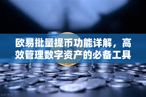欧易批量提币功能详解,高效管理数字资产的必备工具 欧易批量提币功能详解,高效管理数字资产的必备工具