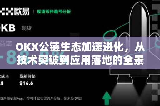 OKX公链生态加速进化，从技术突破到应用落地的全景解读
