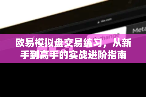 欧易模拟盘交易练习，从新手到高手的实战进阶指南
