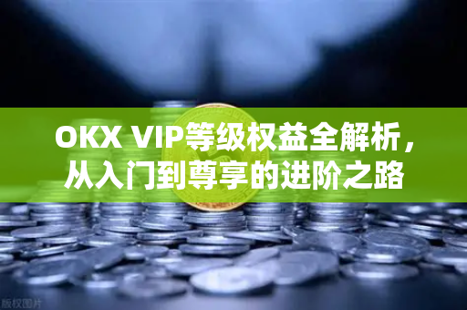 OKX VIP等级权益全解析，从入门到尊享的进阶之路