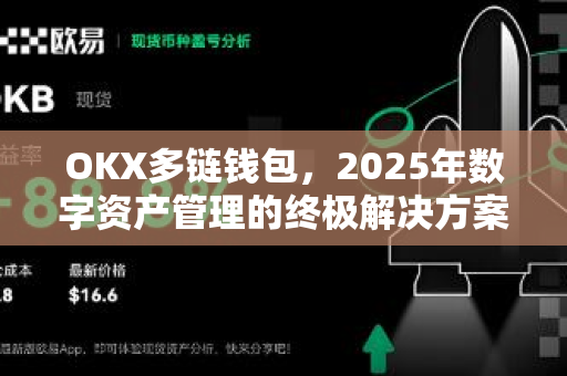 OKX多链钱包,2025年数字资产管理的终极解决方案 OKX多链钱包,2025年数字资产管理的终极解决方案