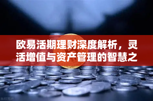 欧易活期理财深度解析,灵活增值与资产管理的智慧之选 欧易活期理财深度解析,灵活增值与资产管理的智慧之选