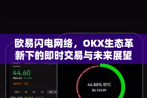 欧易闪电网络,OKX生态革新下的即时交易与未来展望 欧易闪电网络,OKX生态革新下的即时交易与未来展望