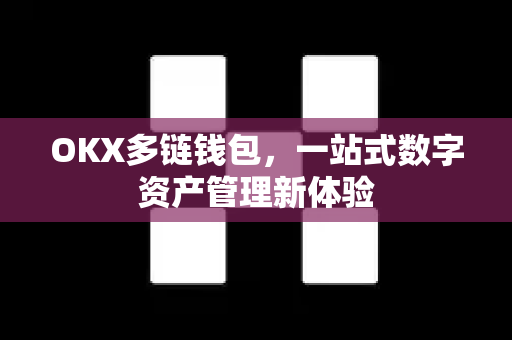 OKX多链钱包，一站式数字资产管理新体验